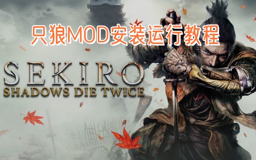 只狼MOD安装运行教程 附26GMOD整合包